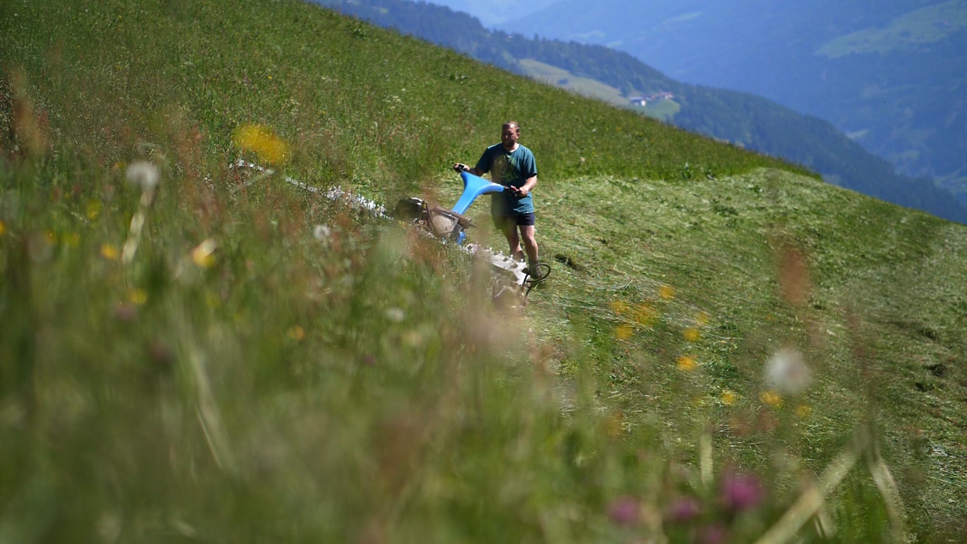 Wagyu Tirol Mähen